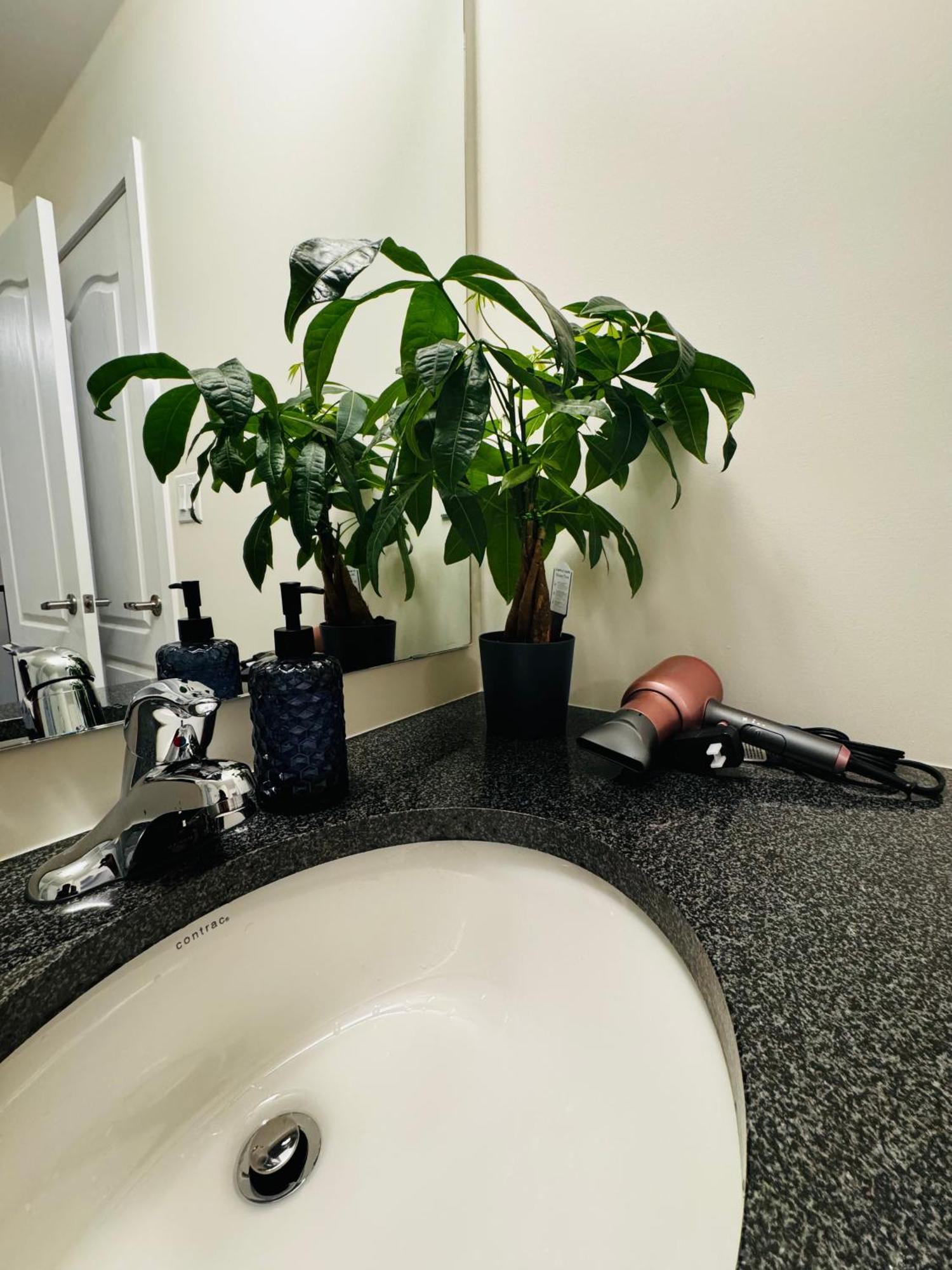 Have Whole House To Yourself 索罗尔德 外观 照片